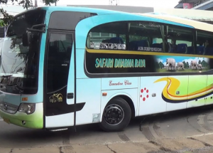 Bus Safari Dharma Raya Terbaru