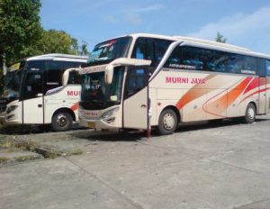 Armada Bus Murni Jaya