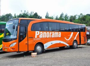 Armada bus pariwisata Panorama